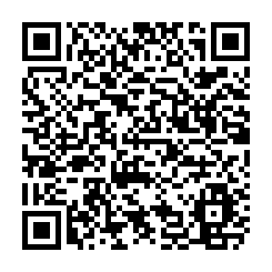 全新!!大樹乙種工業廠房挑高10米-QR CODE