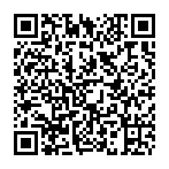 麻豆重劃區工業地3百坪(20米路上)-QR CODE