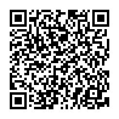 小港機場旁農地多筆可選-QR CODE