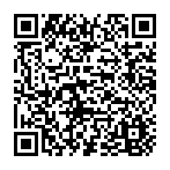 湖內湖中路邊空地78坪-QR CODE