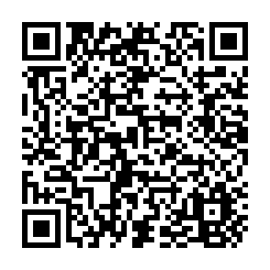 湖內湖中路邊空地78坪-QR CODE