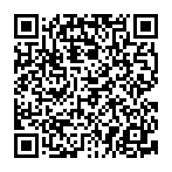 湖內東方都內農地591坪-QR CODE