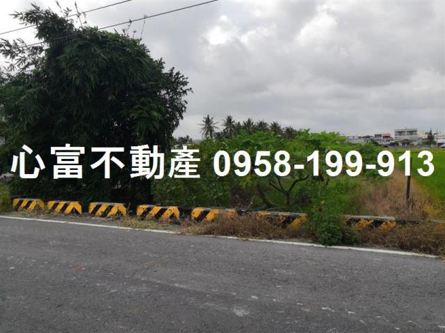 阿蓮農地-0