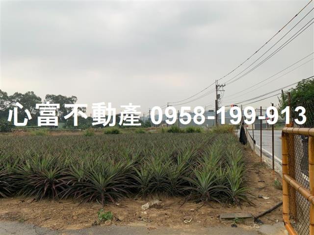 仁武農地-0