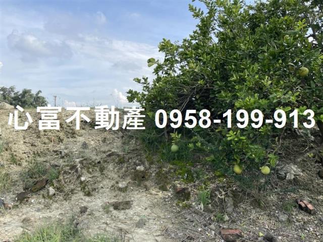 高雄農地-0