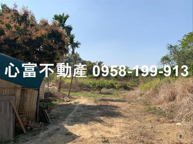 高雄仁武農地-0