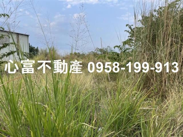 大社農地-1