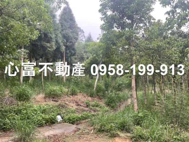 大社農地-0