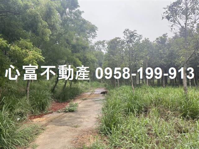 大社農地-1
