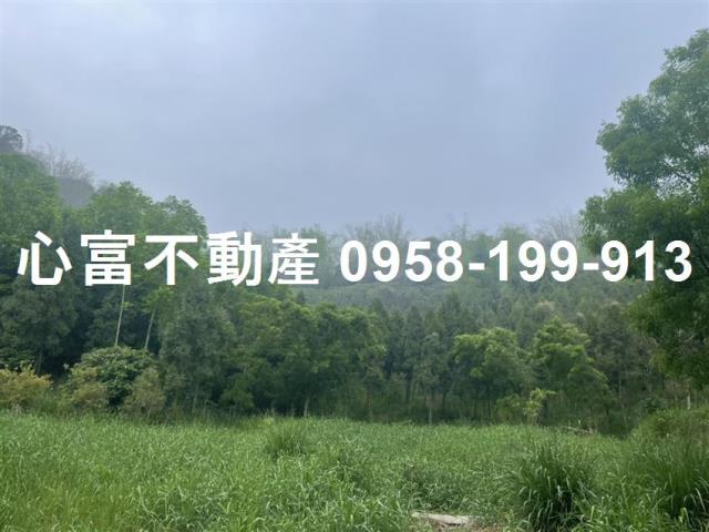 大社農地-2