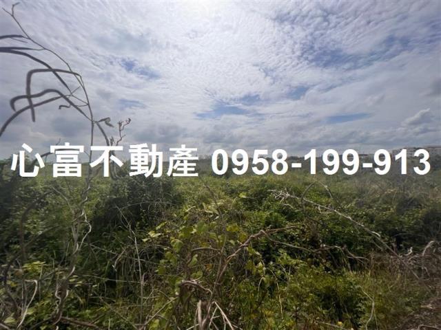 台南麻豆工業地-0