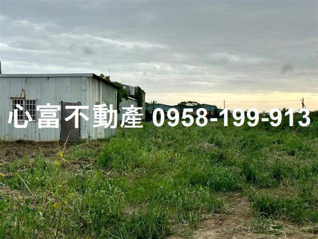 阿蓮農地-0