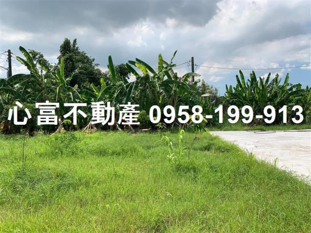 大社農地-0