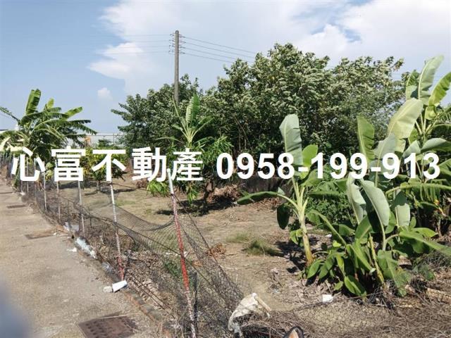 路竹農地-0