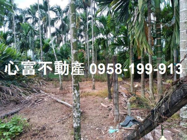 屏東農地-0