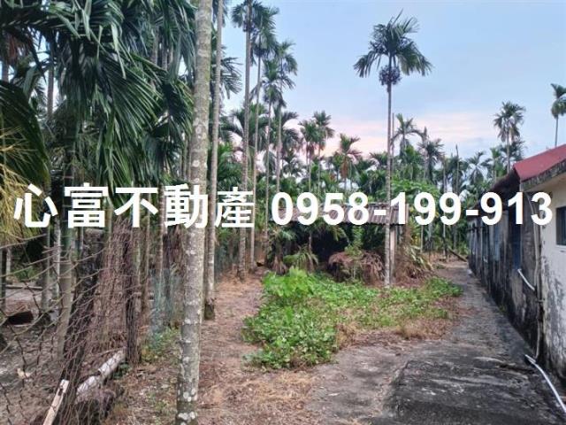 屏東農地-1
