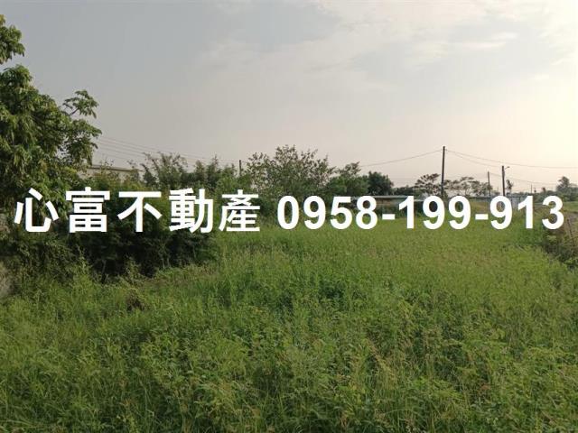 高雄路竹建地-0