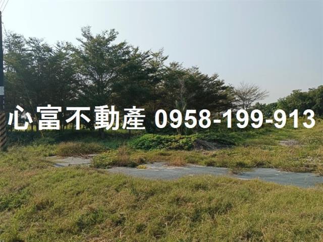 歸仁農地-2