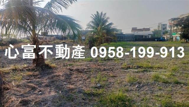 高雄林園建地-0