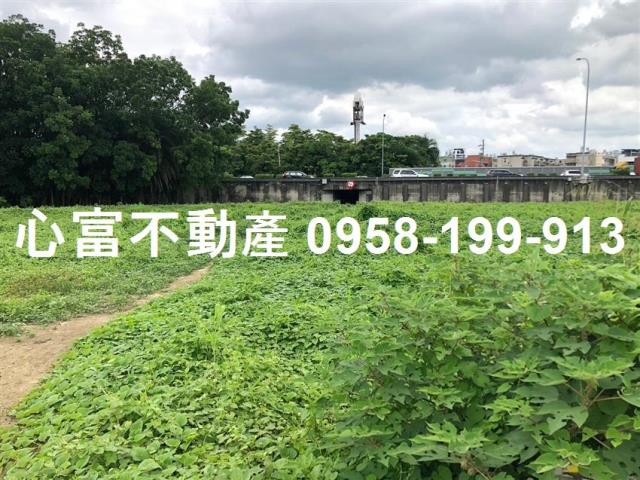 仁武農地-0