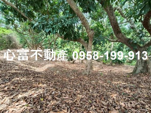 田寮農地-0