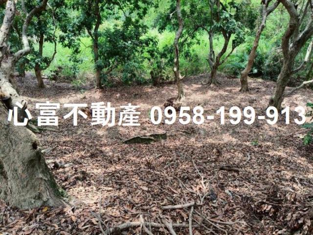 田寮農地-1