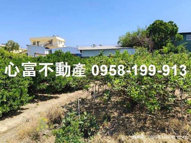 竹田農地-1