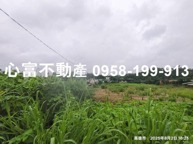 大樹農地-0