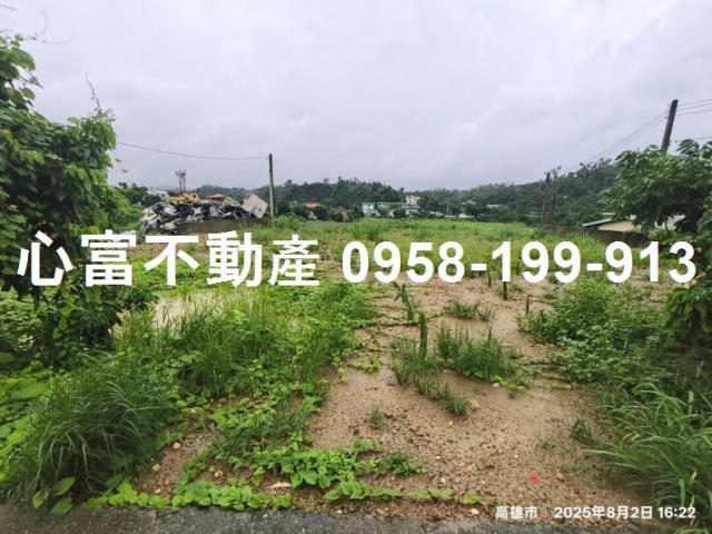 大樹農地-1