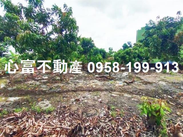 高雄阿蓮建地-0