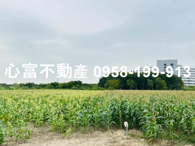 高雄岡山農地-1