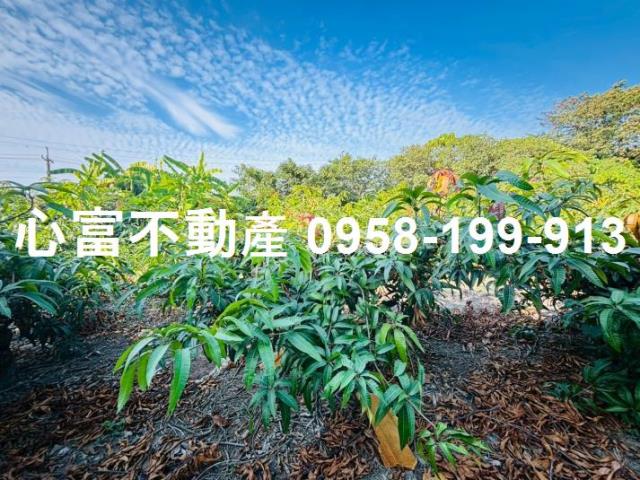 高雄燕巢農地-1