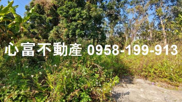 燕巢農地-0