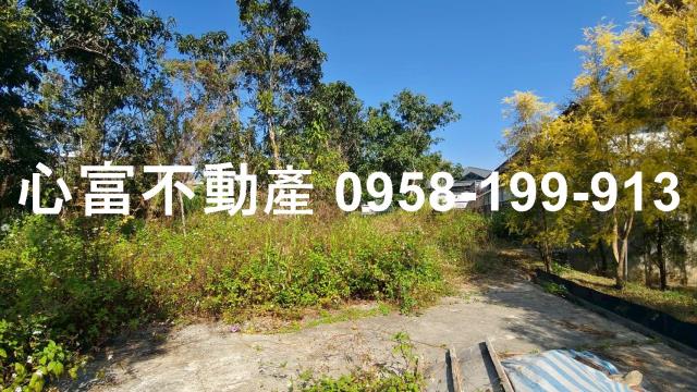 燕巢農地-1