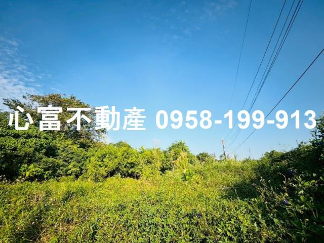 燕巢農地-0